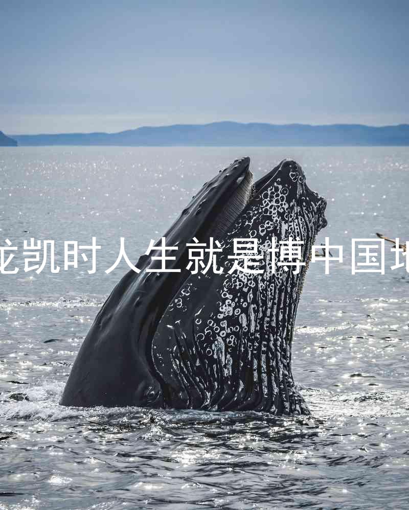 尊龙凯时人生就是博中国地区